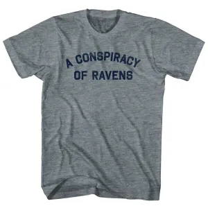 A Conspiracy Of Ravens Youth Tri-Blend T-shirt