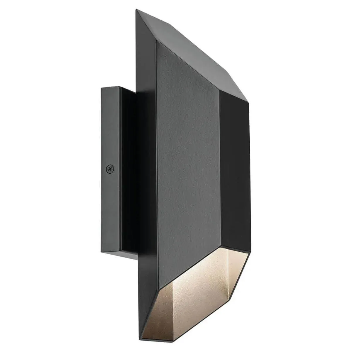 Estella 12 In 1-Light LED Outdoor Wall Light Dark Sky Compliant, Black Finish