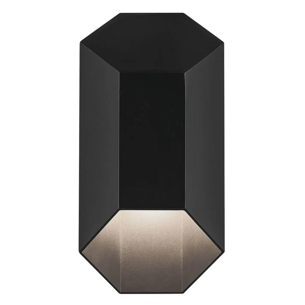 Estella 12 In 1-Light LED Outdoor Wall Light Dark Sky Compliant, Black Finish
