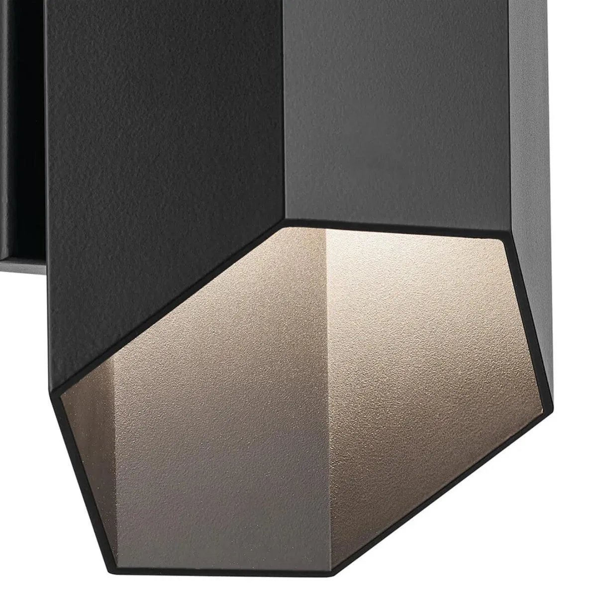 Estella 12 In 1-Light LED Outdoor Wall Light Dark Sky Compliant, Black Finish