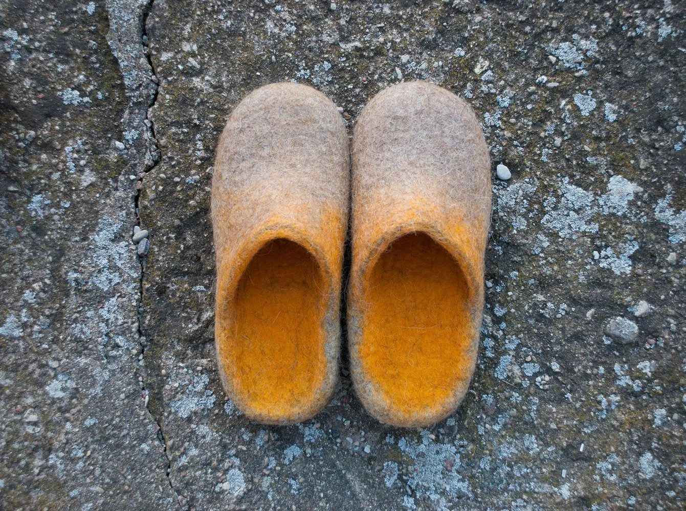 Ombre slip ons for Women