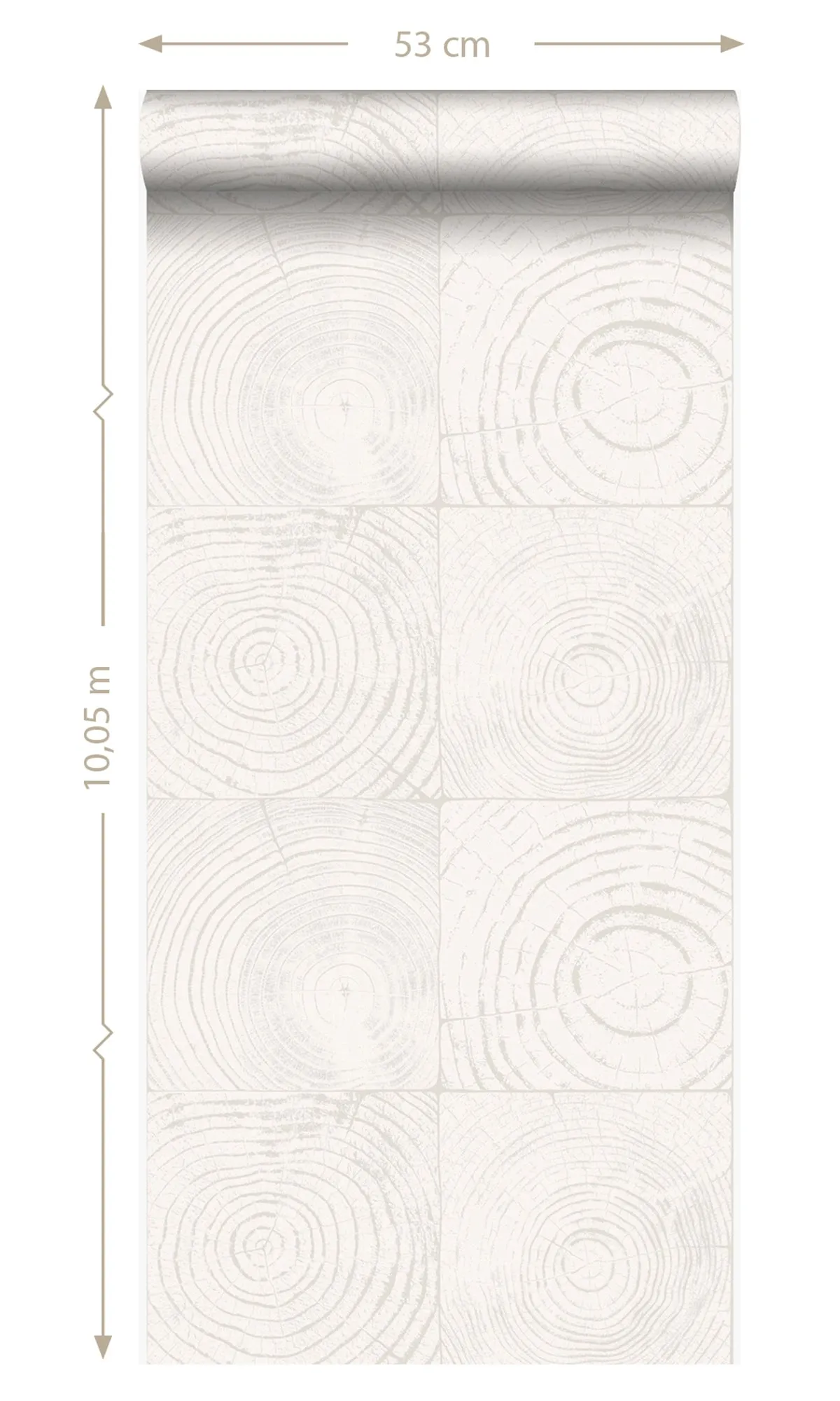 Origin Ivory White Cross-Sections Tree Trunks 347546