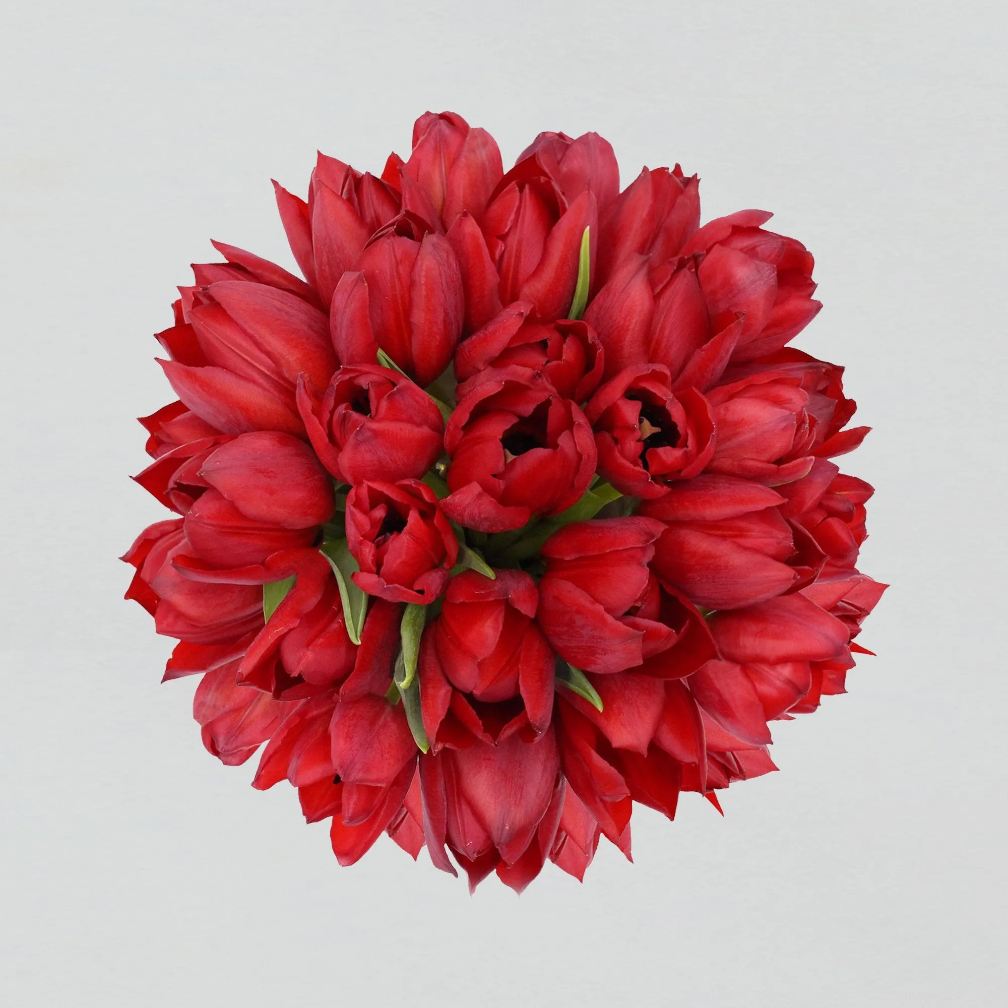 Red Tulip Luxe Marble Vase