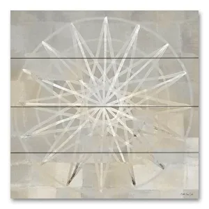 SDS1040PAL - Illusion 2 - 12x12